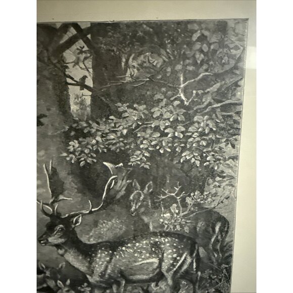 Selmar Hess Publisher N.Y. Fallow Deer Print Glass Framed 1855 Magazine 14x10” - Picture 10 of 10